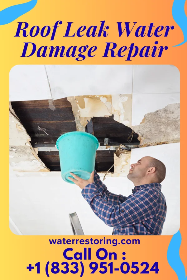 Roof Leak Water Damage Repair in New Morgan, PA