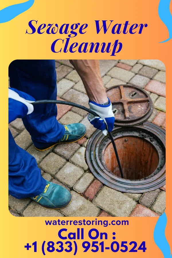 Sewage Water Cleanup in New Morgan, PA
